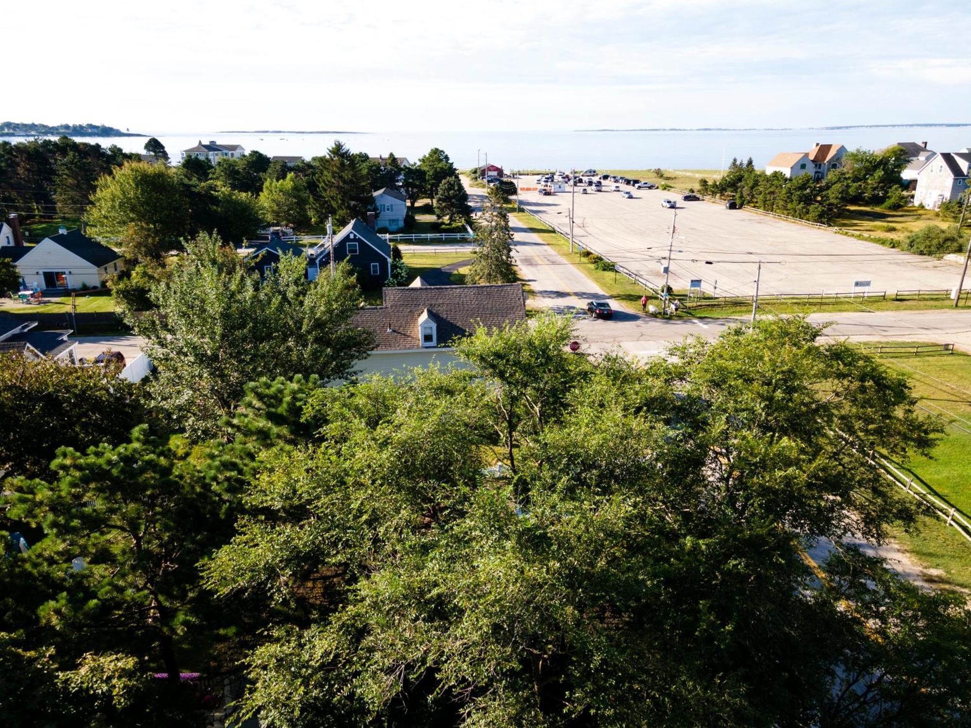 Bright 4Br Beach House, Pine Point Perfection Scarborough Εξωτερικό φωτογραφία